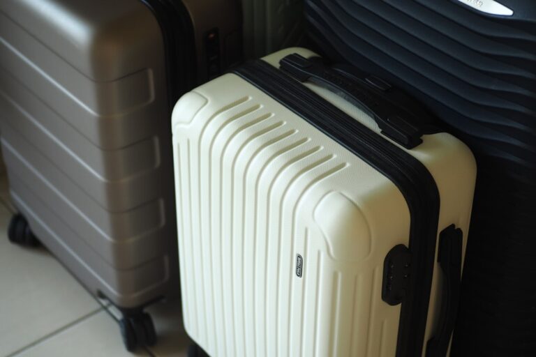 Discover Unique Travel Supplies to Elevate Your Trips
